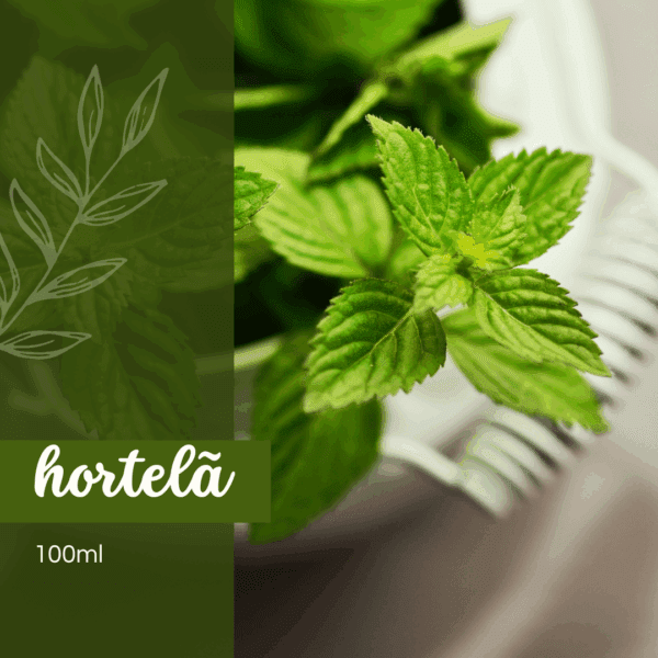 Essência Hortelã 100ml