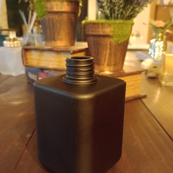 Frasco Vidro Garrafa Mini Texas Fosca Preta 250 ml R28/410