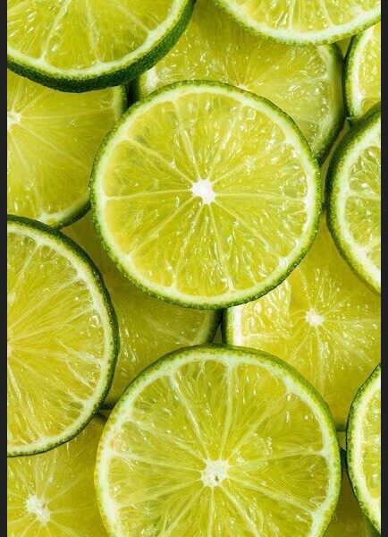 Essência Lime Jardim Vela 100 ml