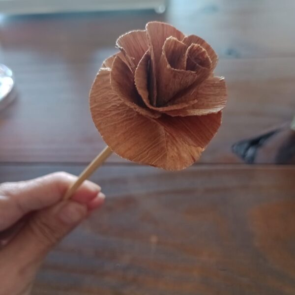 Vareta Fibra Coco 25 cm