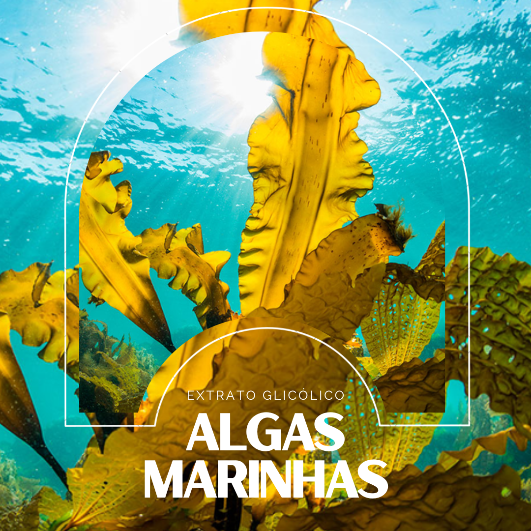 Extrato Glicólico de Algas Marinhas