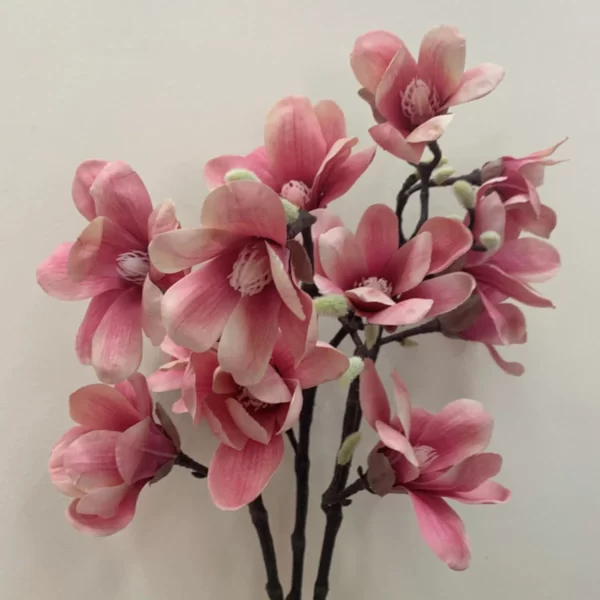 Essência Flor De Magnólia 100 ml