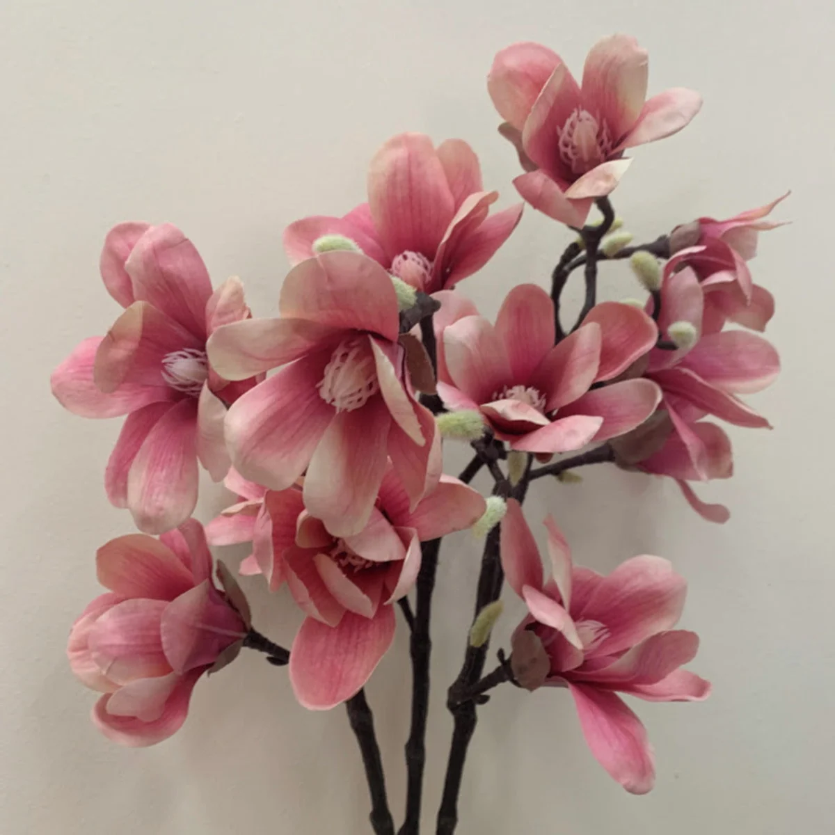 Essência Flor De Magnólia 100 ml