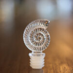 Tampa Acrílica Caracol R28/410