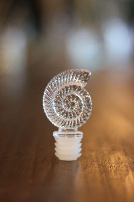 Tampa Acrílica Caracol R28/410