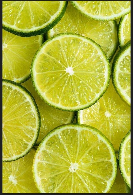 Essência Lime Jardim Vela 100 ml