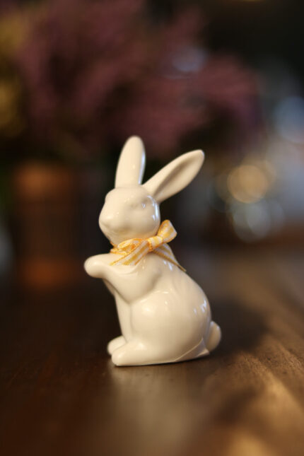 Coelho de Pé com Laço